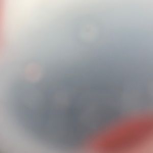 Meet your Posher, Javier